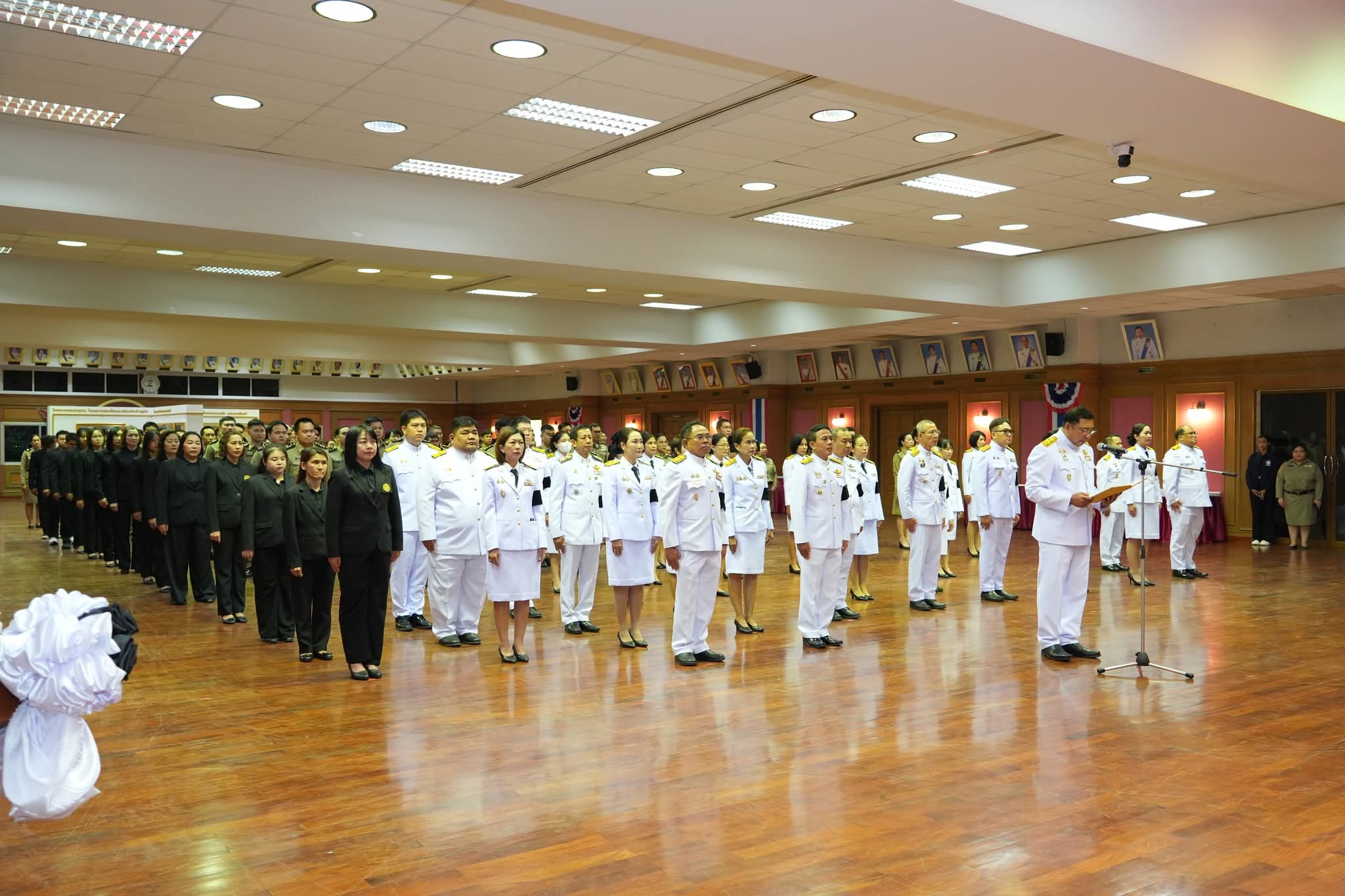 FB_IMG_1775149555563