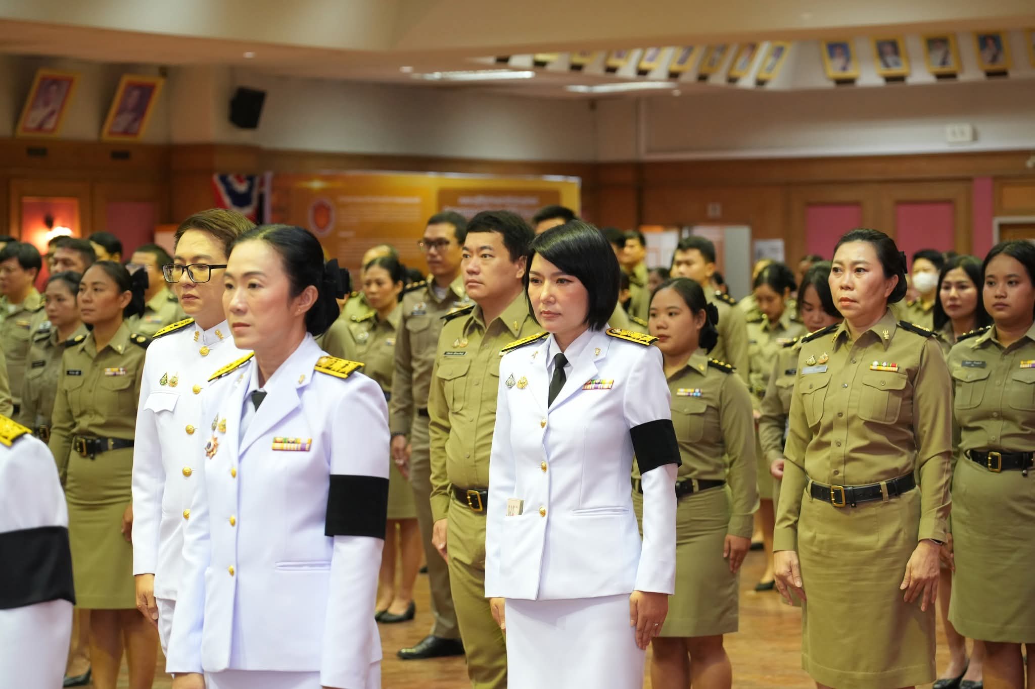 FB_IMG_1775149571655